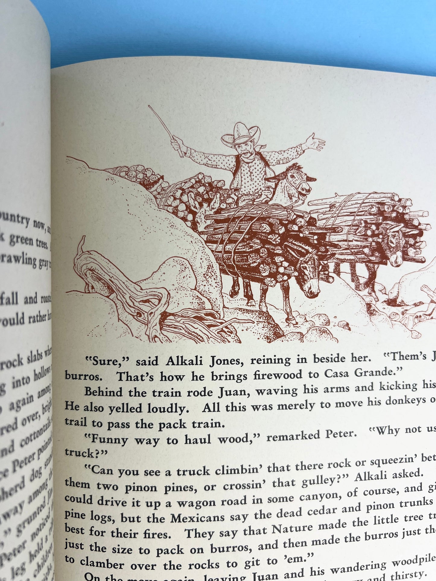 Vintage The Book of Cowboys