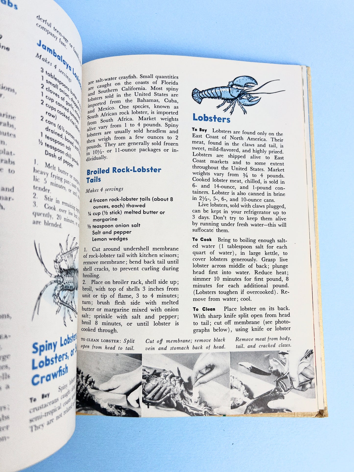 Vintage The Family Circle | Fish And Poultry Cookbook