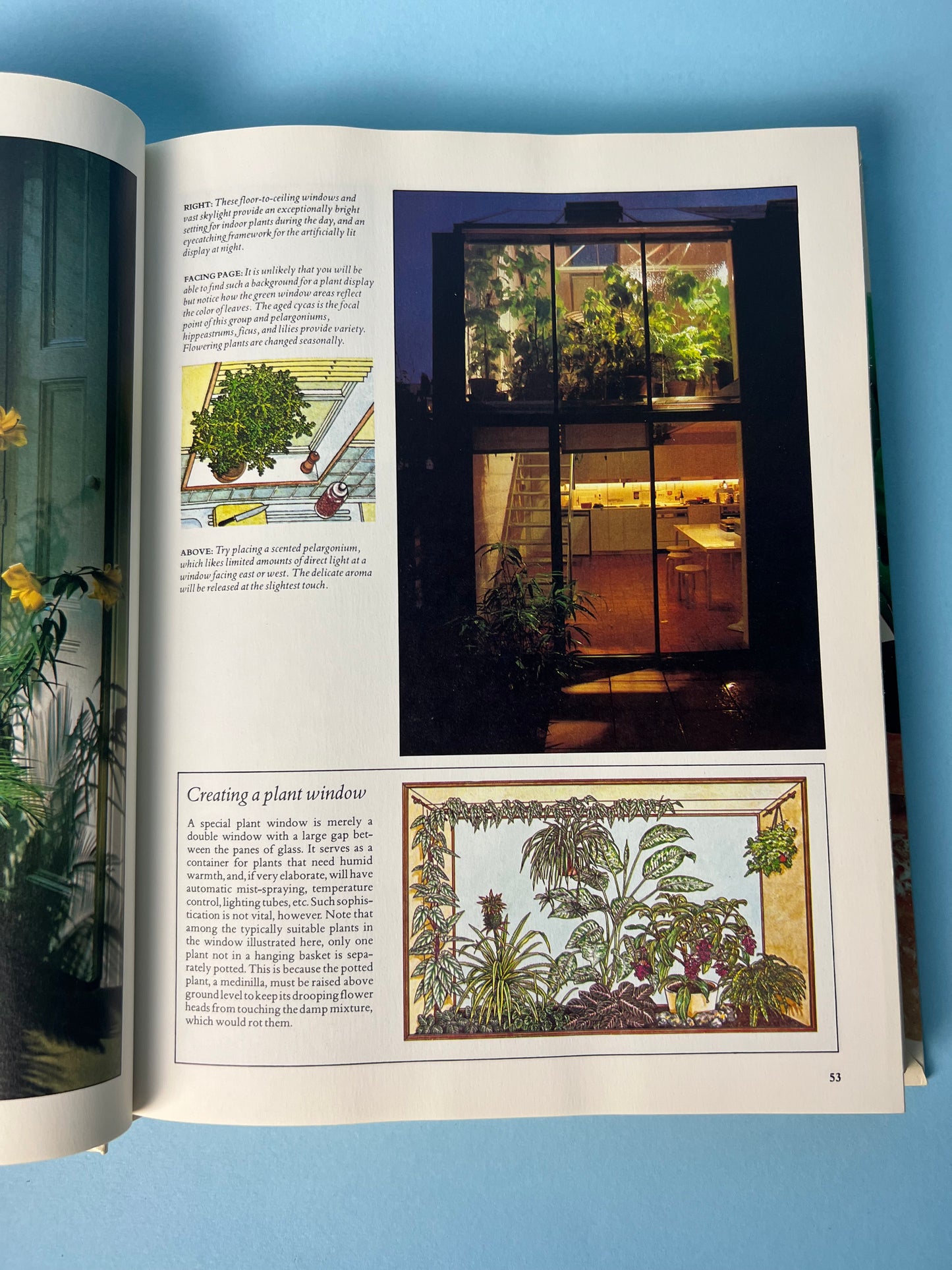 Vintage Reader’s Digest Book Success with Houseplants