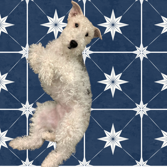 Estella Sticker Tile | Midnights