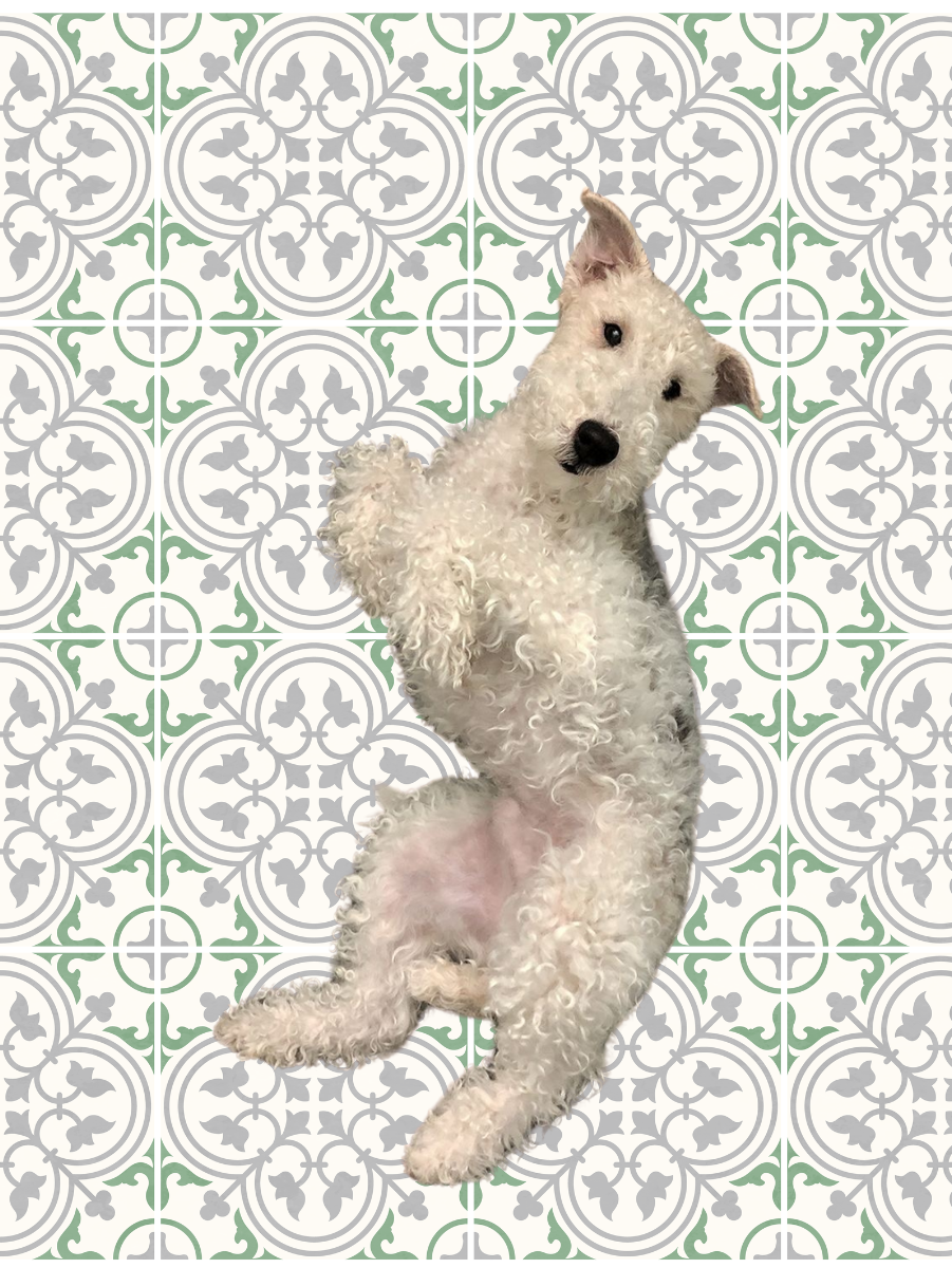 Catalina Sticker Tile | Green Tea