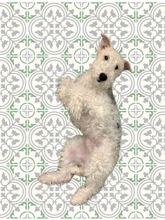 Catalina Sticker Tile | Green Tea