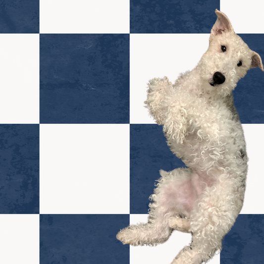 Checkerboard Sticker Tile | Midnights