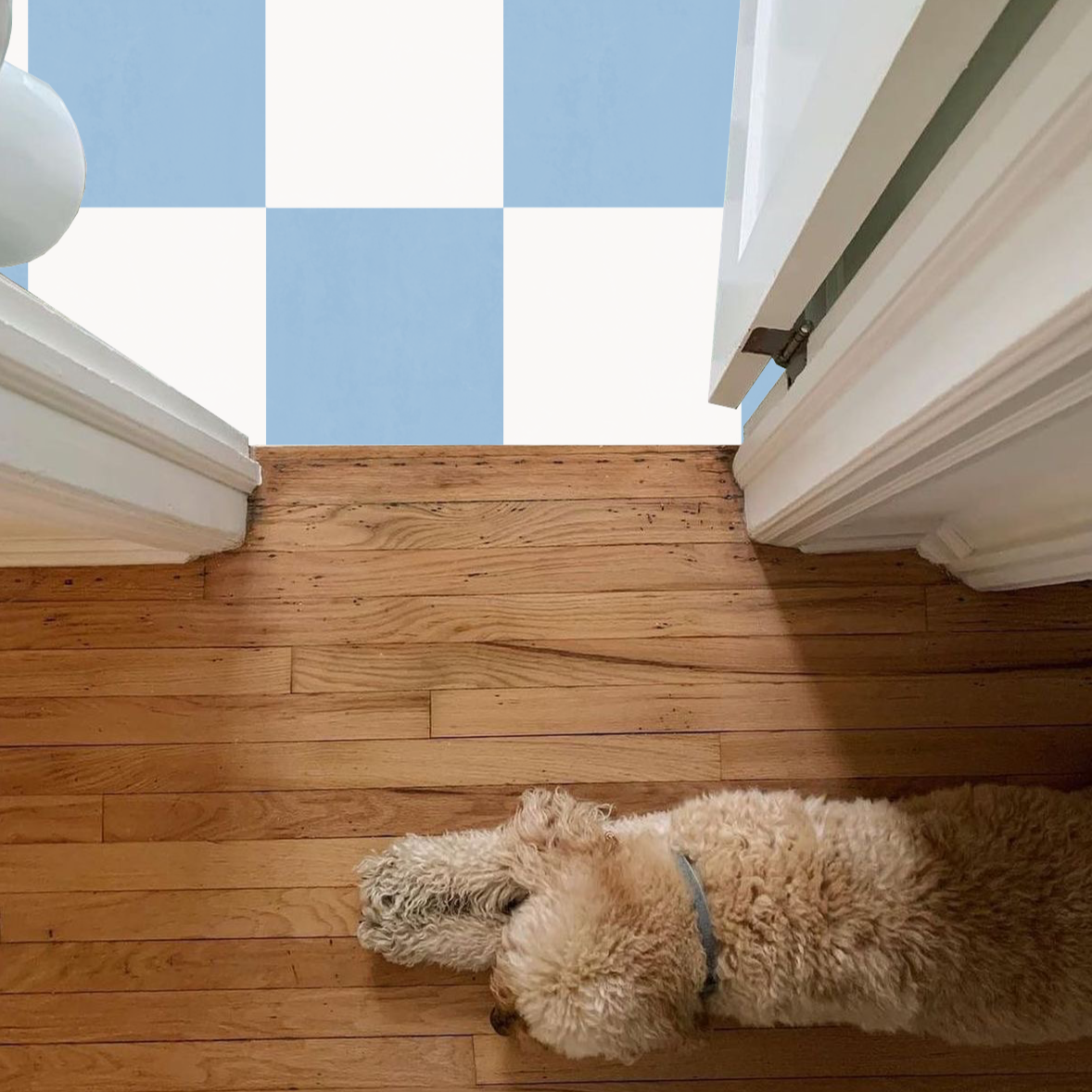 Checkerboard Sticker Tile | Whispering Blue