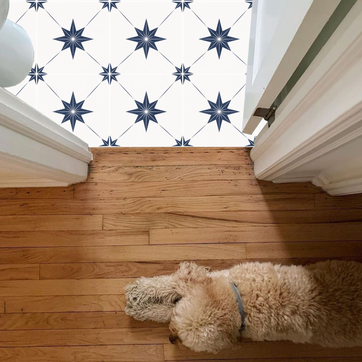 Estella Sticker Tile | Midnights - White