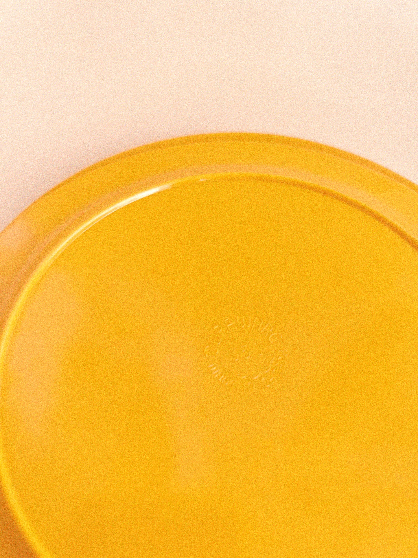 Sunny Melamine Dinner Plates
