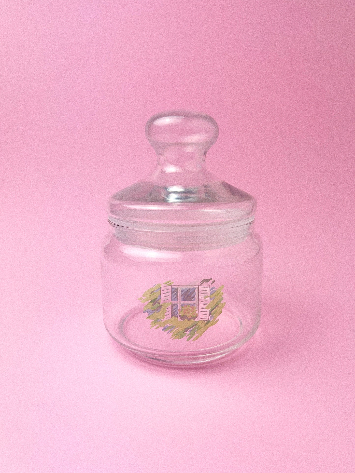 Vintage Luminarc Stash Jars, Set of 2