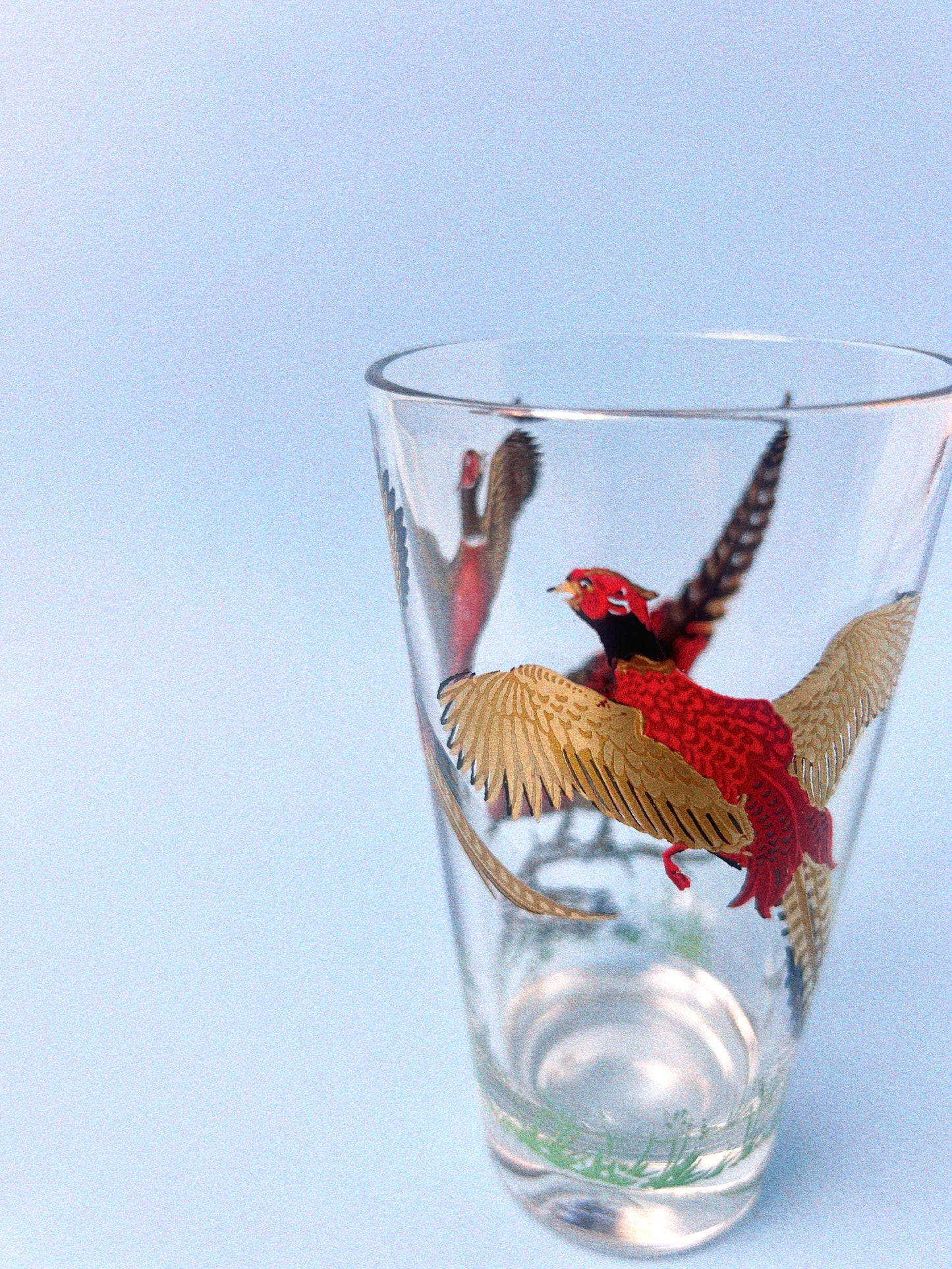 Pheasant Bar Set, 4 Glasses + Ice Bucket