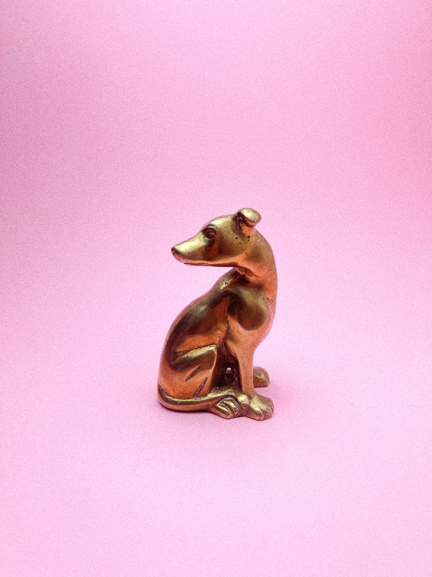 Norman The Brass Pup