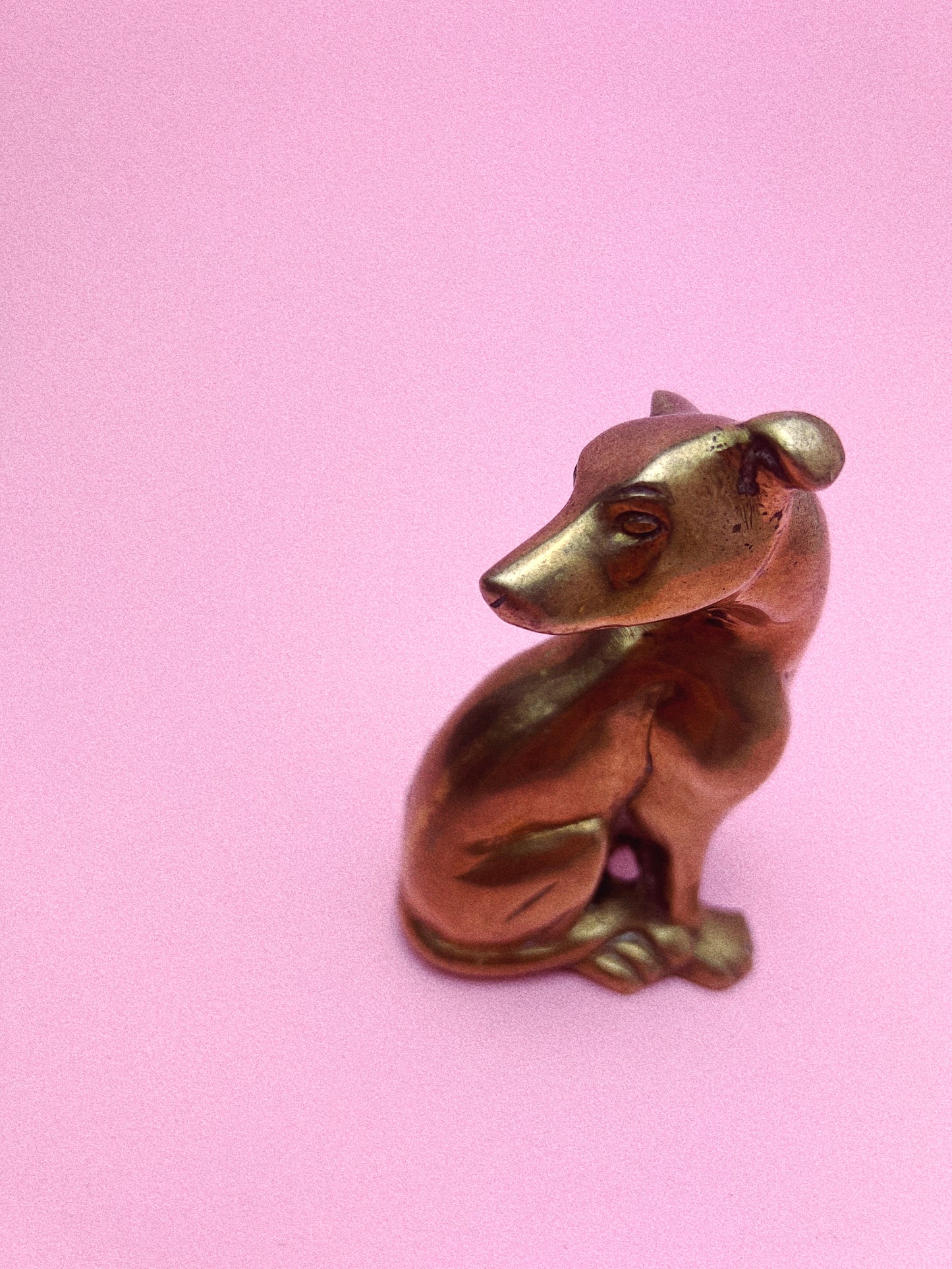 Norman The Brass Pup