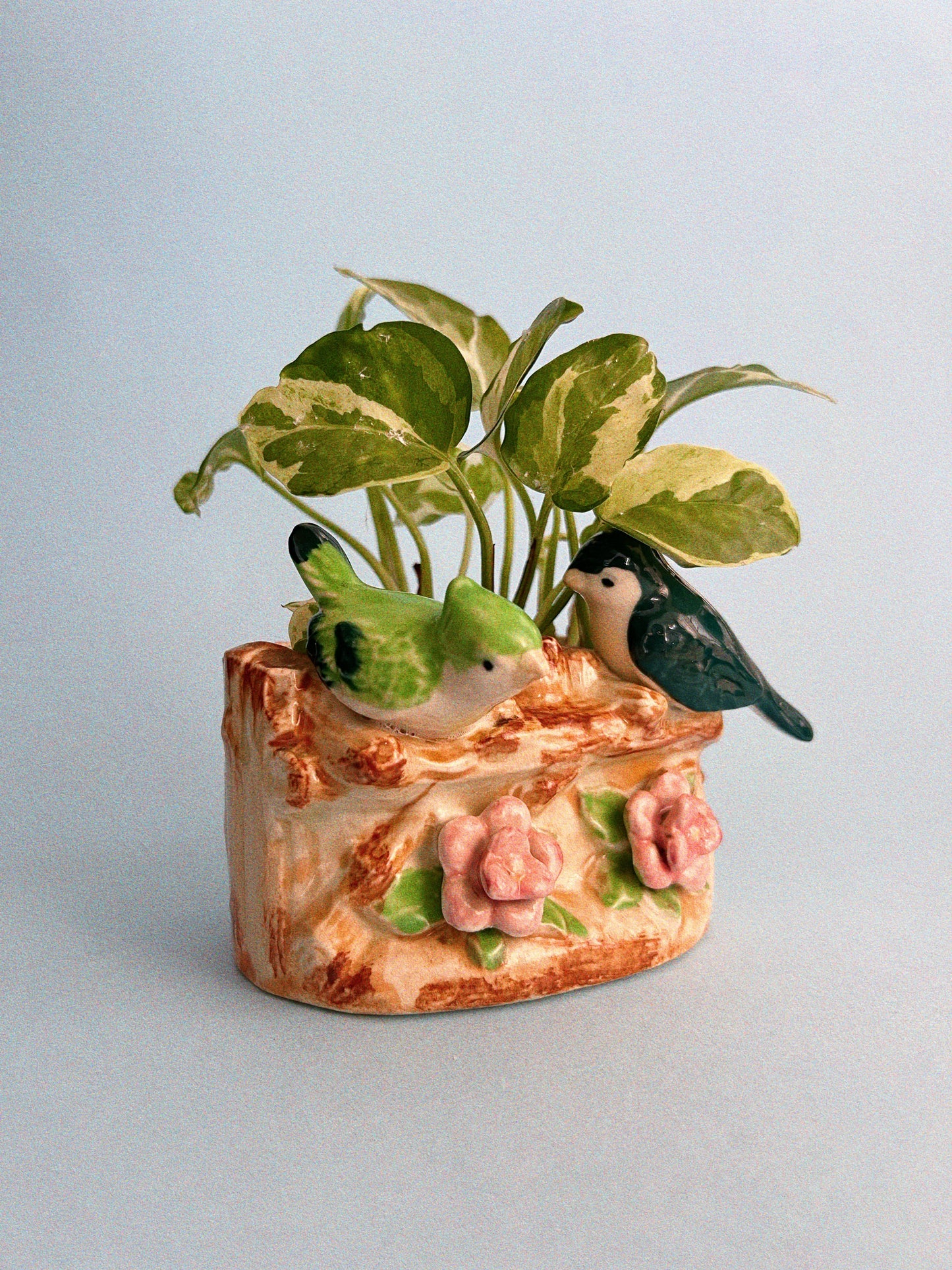 Two Birds Planter