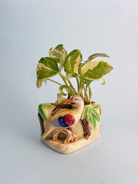 Vintage Fauna Planter | Florart
